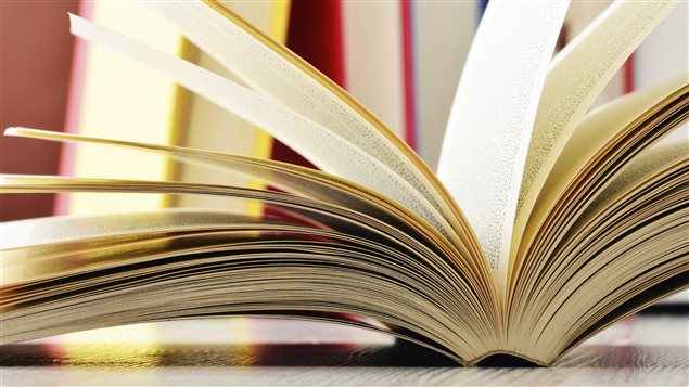 Les pages d'un livre ouvert. Les pages d'un livre ouvert.