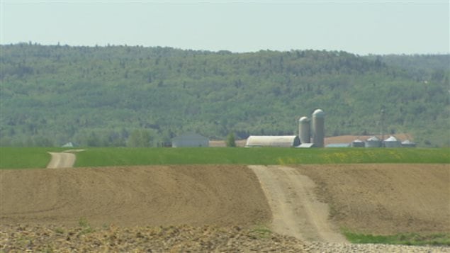 Terre agricole Terre agricole