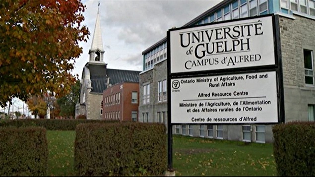 Le Campus d'Alfred de l'Université de Guelph (archives). Le Campus d'Alfred de l'Université de Guelph (archives).