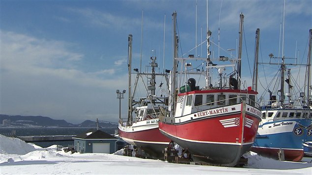 Bateaux des pêcheurs de crabe remisés Bateaux des pêcheurs de crabe remisés