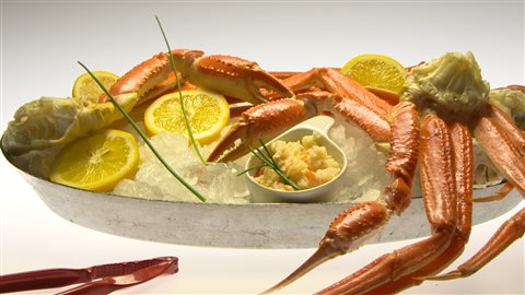 Le crabe des neiges québécois Le crabe des neiges québécois