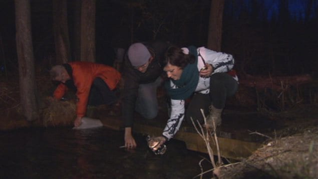 Des gens qui récoltent de l'eau de Pâques Des gens qui récoltent de l'eau de Pâques