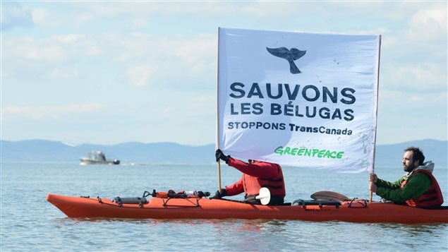 Des activistes de Greenpeace sont à Cacouna pour dénoncer le projet de construction d'un port pétrolier proposé par TransCanada, le 25 avril 2014. Des activistes de Greenpeace sont à Cacouna pour dénoncer le projet de construction d'un port pétrolier proposé par TransCanada, le 25 avril 2014.