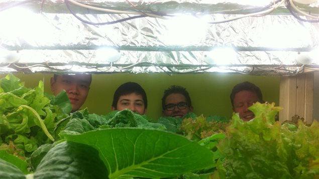 Les élèves participant au projet d'agriculture hydroponique à Gros-Mécatina. Les élèves participant au projet d'agriculture hydroponique à Gros-Mécatina.