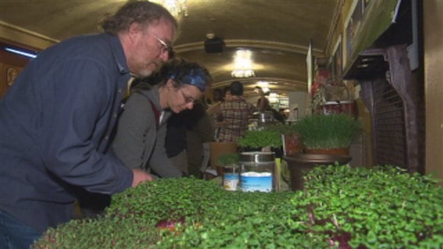 L'événement «Sherbrooke, ville nourricière» a connu un succès L'événement «Sherbrooke, ville nourricière» a connu un succès