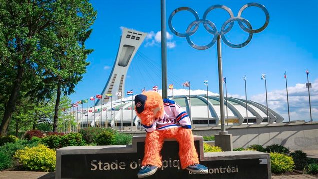 Youppi a perdu son pari avec Jimmy Fallon. Youppi a perdu son pari avec Jimmy Fallon.