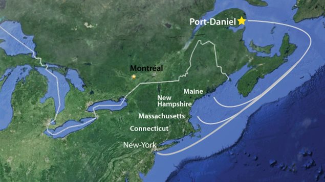 Le ciment sera notamment livré sur la côte est des États-Unis. Le ciment sera notamment livré sur la côte est des États-Unis.