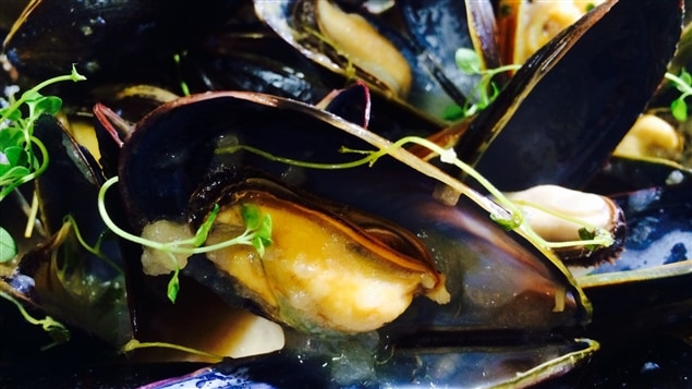 Moules à la compote de poires et au xérès sec Moules à la compote de poires et au xérès sec