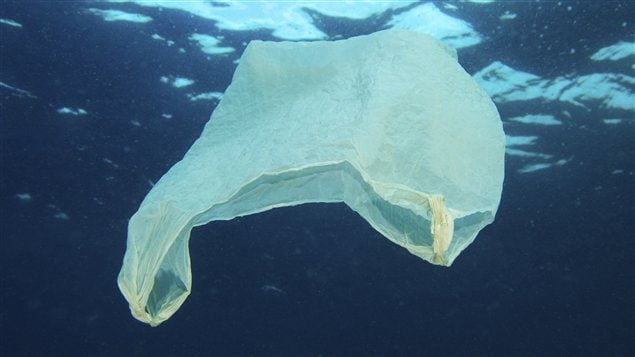 Un des milliards de sacs de plastique à la dérive dans les océans Un des milliards de sacs de plastique à la dérive dans les océans