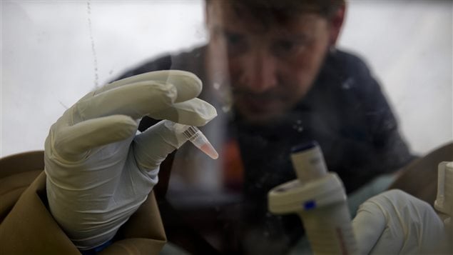 Un chercheur du Laboratoire européen mobile à Gueckédou, en Guinée, fait des tests pour vérifier la présence du virus Ebola. Un chercheur du Laboratoire européen mobile à Gueckédou, en Guinée, fait des tests pour vérifier la présence du virus Ebola.