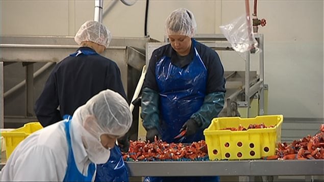 Usine de traitement de homards Usine de traitement de homards