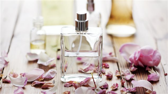 « Le bonheur est un parfum que l'on ne peut répandre sur autrui sans en faire rejaillir quelques gouttes sur soi-même. »
de Ralph Waldo Emerson « Le bonheur est un parfum que l'on ne peut répandre sur autrui sans en faire rejaillir quelques gouttes sur soi-même. »
de Ralph Waldo Emerson