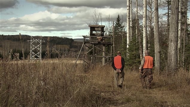 La chasse bat son plein en Gaspésie. La chasse bat son plein en Gaspésie.