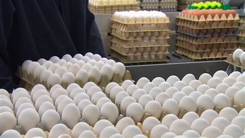 Les producteurs d'oeufs soumis à la gestion de l'offre Les producteurs d'oeufs soumis à la gestion de l'offre