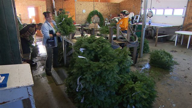 Des couronnes de Noël produites à Amqui. Des couronnes de Noël produites à Amqui.