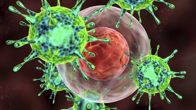Représentation du VIH et d'une cellule saine Représentation du VIH et d'une cellule saine