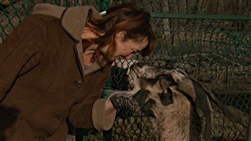 L'éleveuse de chèvres Lynne Rowe, propriétaire du refuge pour animaux Constance Creek, à Dunrobin L'éleveuse de chèvres Lynne Rowe, propriétaire du refuge pour animaux Constance Creek, à Dunrobin