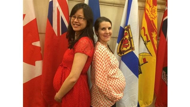 Les députés néodémocrates Anne Quach et Lysane Blanchette-Lamothe ont accouché en 2014 Les députés néodémocrates Anne Quach et Lysane Blanchette-Lamothe ont accouché en 2014