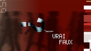 La facture - Vrai/Faux - Émission du 17 février 2015