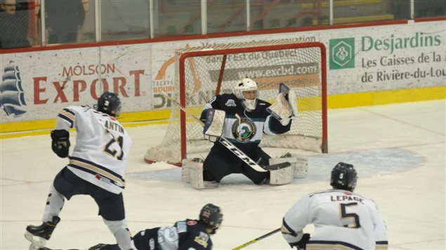 Age of mature pines Hockey midget central aaa nouveau brunswick