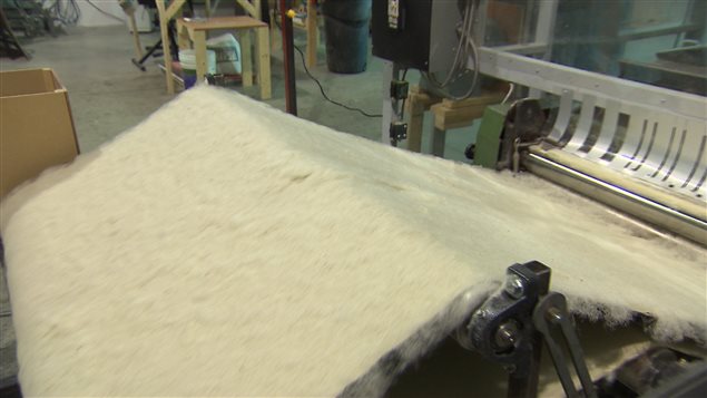 Cette machine fabrique le rembourrage de fibres d'asclépiade, utilisé pour isoler les vêtements. Cette machine fabrique le rembourrage de fibres d'asclépiade, utilisé pour isoler les vêtements.