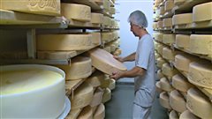 Accord de libre-échange&nbsp;:&nbsp;des fromagers de la région s'inquiètent&nbsp;