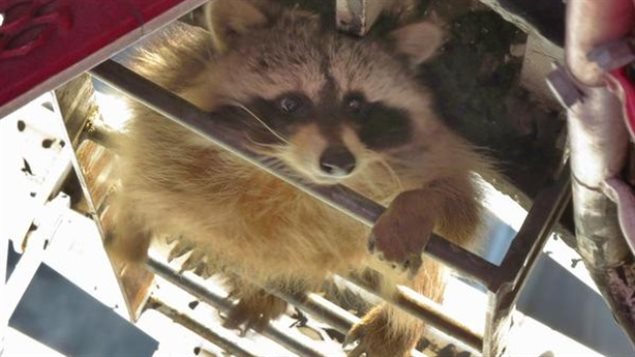 rencontre avec un nez