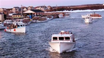 L'industrie du homard est en pleine expansion à l'Î.-P.-É., selon l'Association des pêcheurs de l'Île L'industrie du homard est en pleine expansion à l'Î.-P.-É., selon l'Association des pêcheurs de l'Île