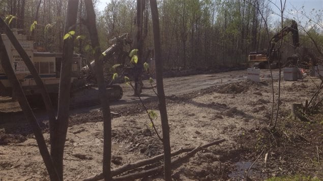 Des travaux dans le boisé Maricourt de Longueuil, qui abrite de nombreux milieux humides Des travaux dans le boisé Maricourt de Longueuil, qui abrite de nombreux milieux humides