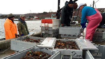 Des pêcheurs de homards près d'Antigonish en Nouvelle-Écosse Des pêcheurs de homards près d'Antigonish en Nouvelle-Écosse