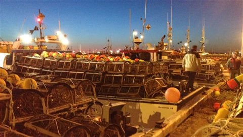Coup d'envoi de la saison de pêche au homard aux Îles-de-la-Madeleine, au quai de Grande-Entrée.