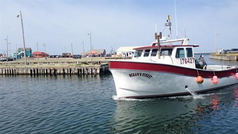 Les premiers bateaux rentrent au port de Grande-Entrée pour décharger du homard Les premiers bateaux rentrent au port de Grande-Entrée pour décharger du homard