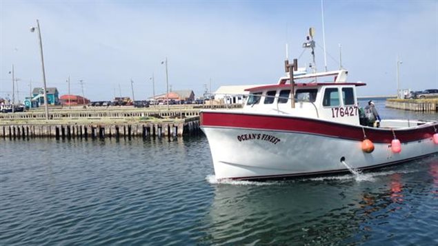 Les premiers bateaux rentrent au port de Grande-Entrée pour décharger du homard Les premiers bateaux rentrent au port de Grande-Entrée pour décharger du homard