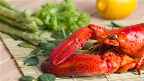 Homard gaspésien en salade d’asperges crues Homard gaspésien en salade d’asperges crues