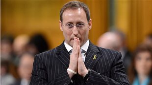 Peter MacKay (archives) Peter MacKay (archives)