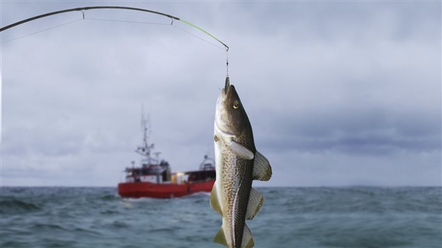 La pêche dhiver le producteur