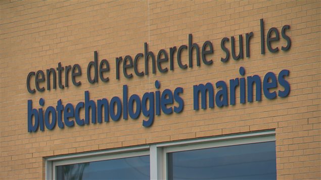 crbm rimouski crbm rimouski