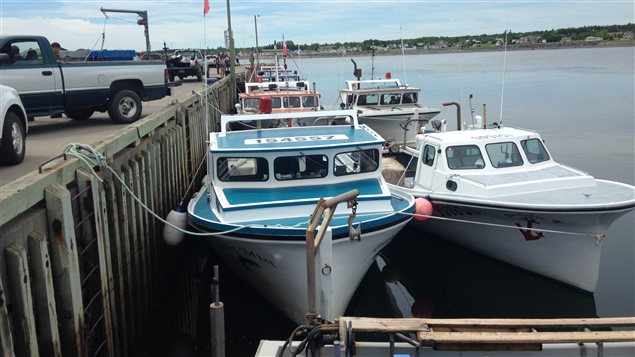 Bateaux de pêche au homard à Petit-Rocher Bateaux de pêche au homard à Petit-Rocher