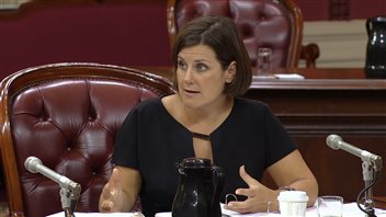 La ministre de la Justice, Stéphanie Vallée, aux audiences sur le projet de loi 59 La ministre de la Justice, Stéphanie Vallée, aux audiences sur le projet de loi 59