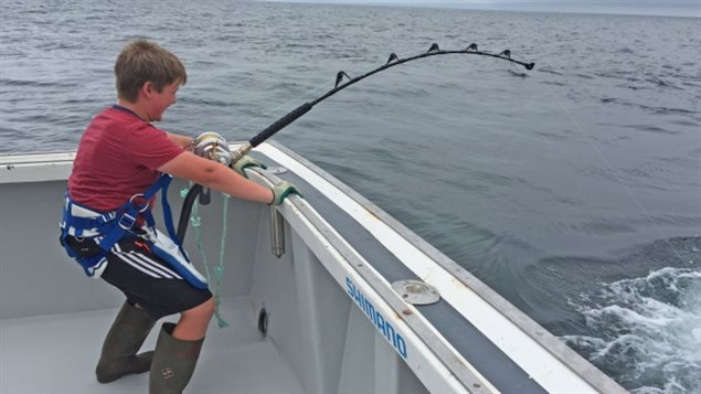 Black desert comme gagner sur la pêche