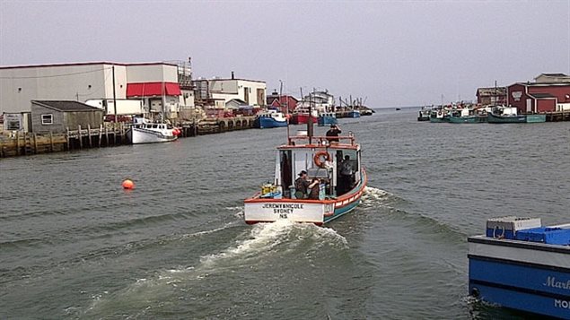 Un bateau de pêche quitte le port de Glace Bay. Plusieurs pêcheurs y travailleurs toujours passé l'âge de 65 ans Un bateau de pêche quitte le port de Glace Bay. Plusieurs pêcheurs y travailleurs toujours passé l'âge de 65 ans