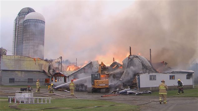 Une ferme laitière en flammes à Saint-Malachie. Une ferme laitière en flammes à Saint-Malachie.