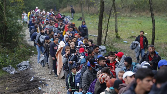 Des migrants franchissent la frontière entre la Croatie et la Hongrie afin d'atteindre l'Union européenne. Des migrants franchissent la frontière entre la Croatie et la Hongrie afin d'atteindre l'Union européenne.