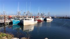 Bateaux de pêche au port de Meteghan. Bateaux de pêche au port de Meteghan.