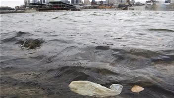 Le déversement d'eaux usées à Montréal donne lieu à des scènes insolites, telle la vision de ce condom qui flotte dans le fleuve. Le déversement d'eaux usées à Montréal donne lieu à des scènes insolites, telle la vision de ce condom qui flotte dans le fleuve.
