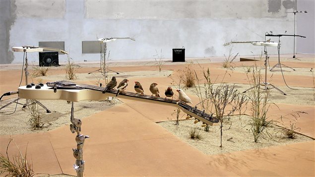 Vue de l’installation « from here to ear » Vue de l’installation « from here to ear »