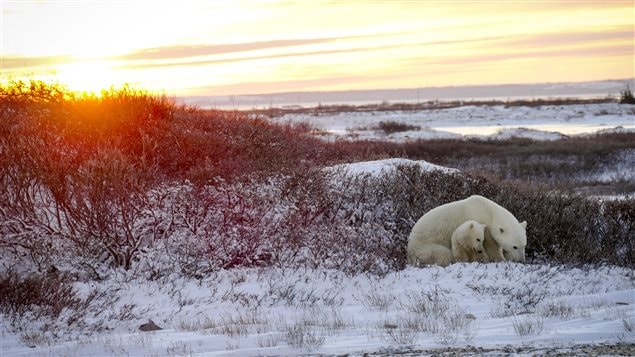 site de rencontre gratuit gaspésie