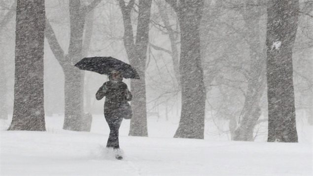 Une femme marche dans une tempête de neige Une femme marche dans une tempête de neige