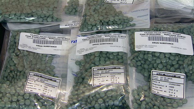 Des comprimés de fentanyl saisis dans une opération policière en décembre à Calgary Des comprimés de fentanyl saisis dans une opération policière en décembre à Calgary