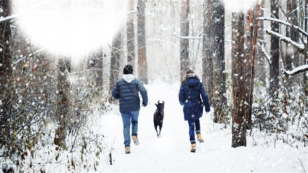 Deux amis se promènent dans la forêt avec un chien. Deux amis se promènent dans la forêt avec un chien.